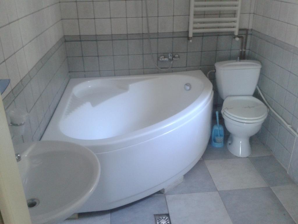 Pensiunea Vila Dana Cluj-Napoca Room photo